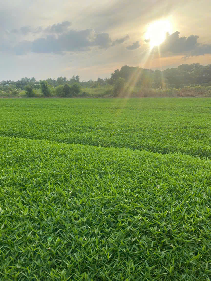 CÔNG TY TNHH THỰC PHẨM HAPPY FARM